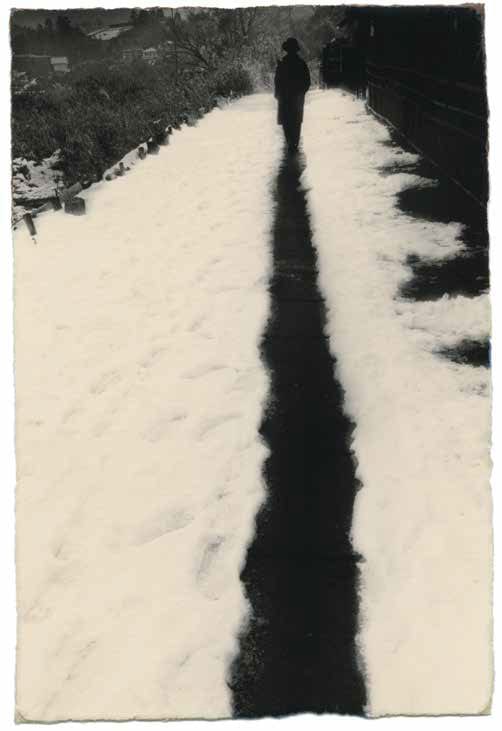 width=