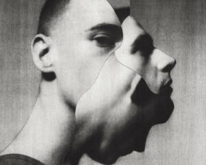A collage whose pieces comprise an abstract human face