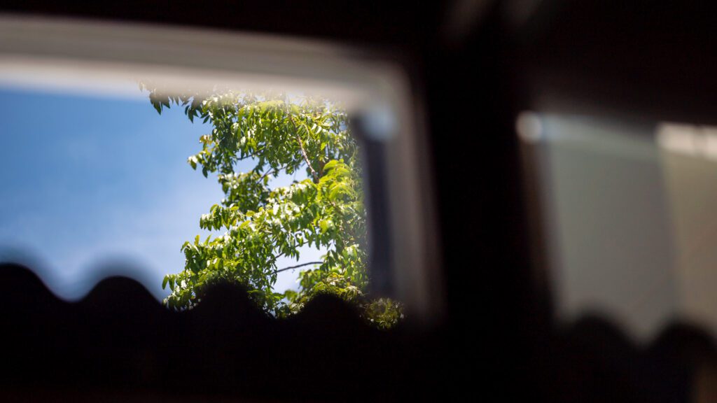 view of tree against blue sky from a car window